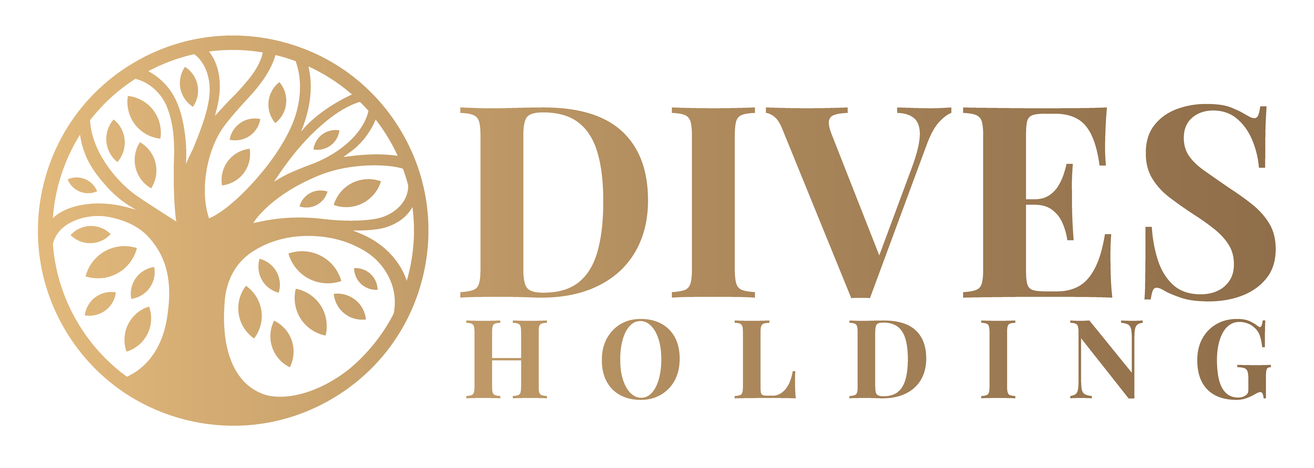 Dives Holding Logo